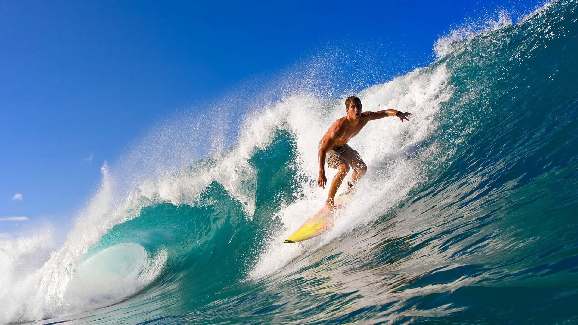 蛙泳强手助荷兰闯进决赛，蛙泳冠军慢动作视频