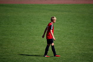 爱游戏中国官方登录入口网站-中国足球俱乐部青训营技术指导持续加强，中国足球青训机构